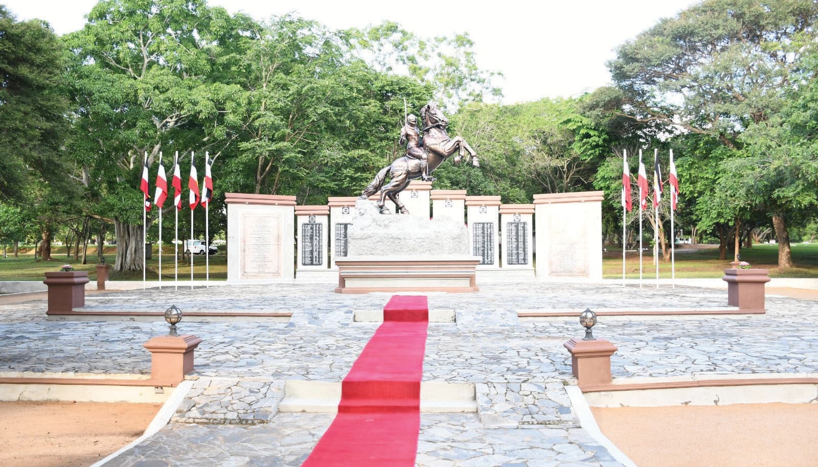Photograph 242 from Beyond Rank